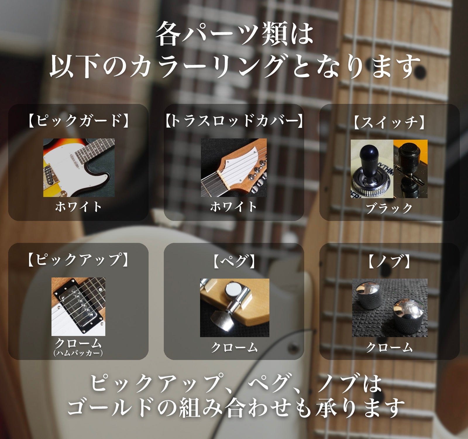 セミオーダーメイドギター – TOKYO GUITARS
